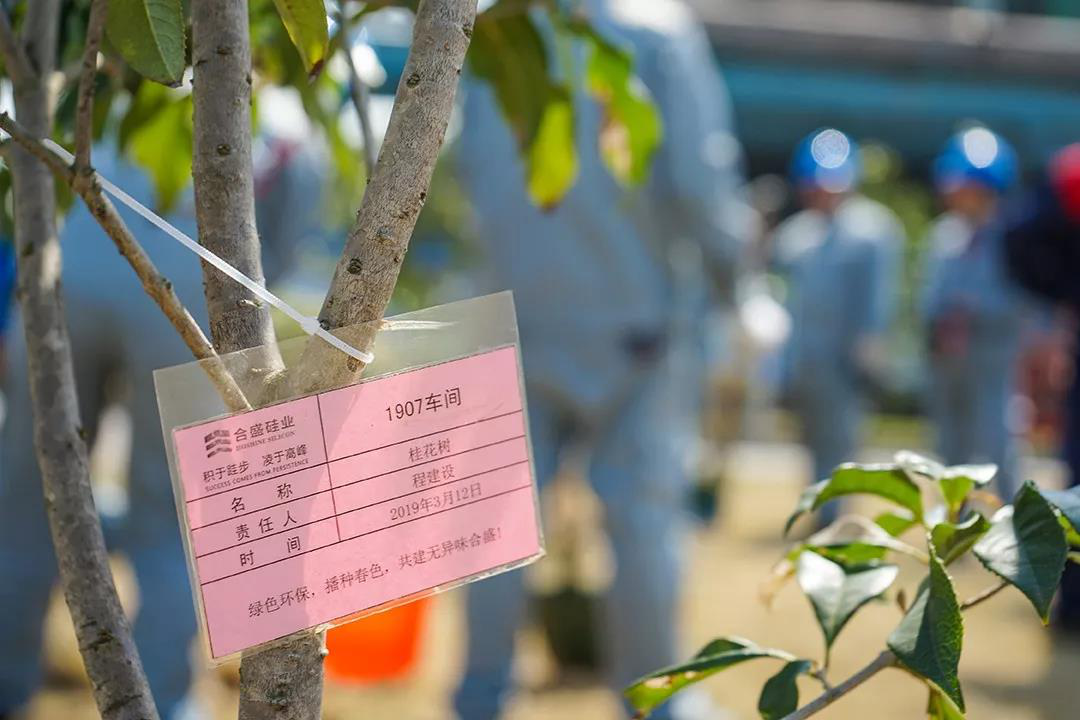 5001拉斯维加斯(中国游)有限公司官网